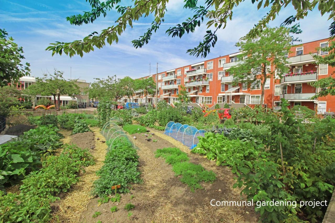 New Monumental Garden View Studio Amesterdão Quarto foto